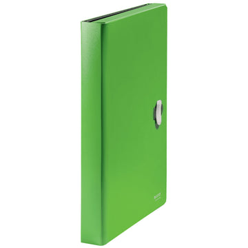 Organiser Folder Leitz 46240055 Green A4