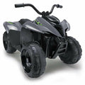 Electric Quad Injusa Kawasaki Grey 90,5 x 56 x 61,3 cm