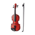 Violin Reig