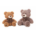 Teddy Bear 70 cm