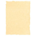 Parchment paper Michel Cream A4 25 Pieces