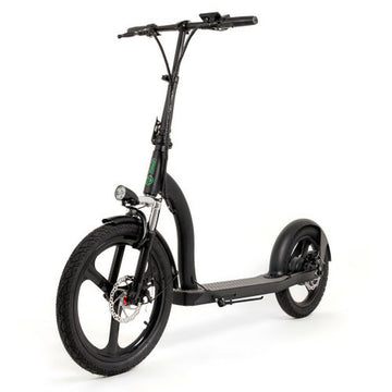 Electric Scooter Youin YOUIN SCOOTER ELECTRIC 2XL Black 350 W