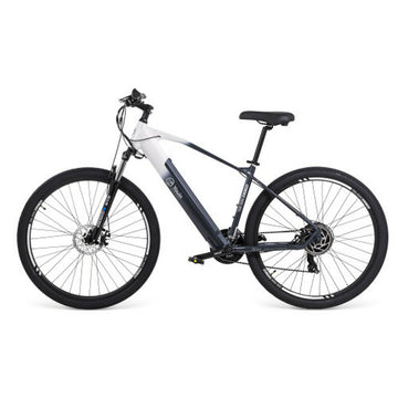 Electric Bike Youin YOURIDE EVEREST2 250 W