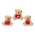 Teddy Bear EDM 808762 Valentine's day 15 cm