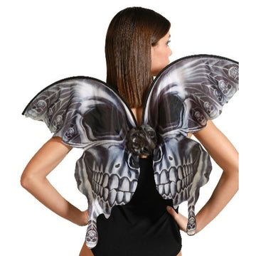 Butterfly Wings