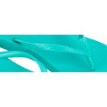 Women's Flip Flops Ipanema FEM 82591 AQ597