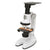 Microscope Colorbaby Smart Theory 2 Units